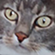 Avatar de Abel
