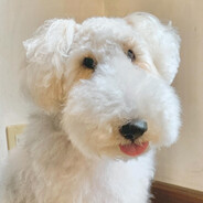 Avatar de Sítheach