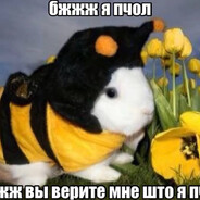 Avatar de я пчол