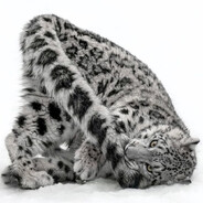 Avatar de Взгляды.